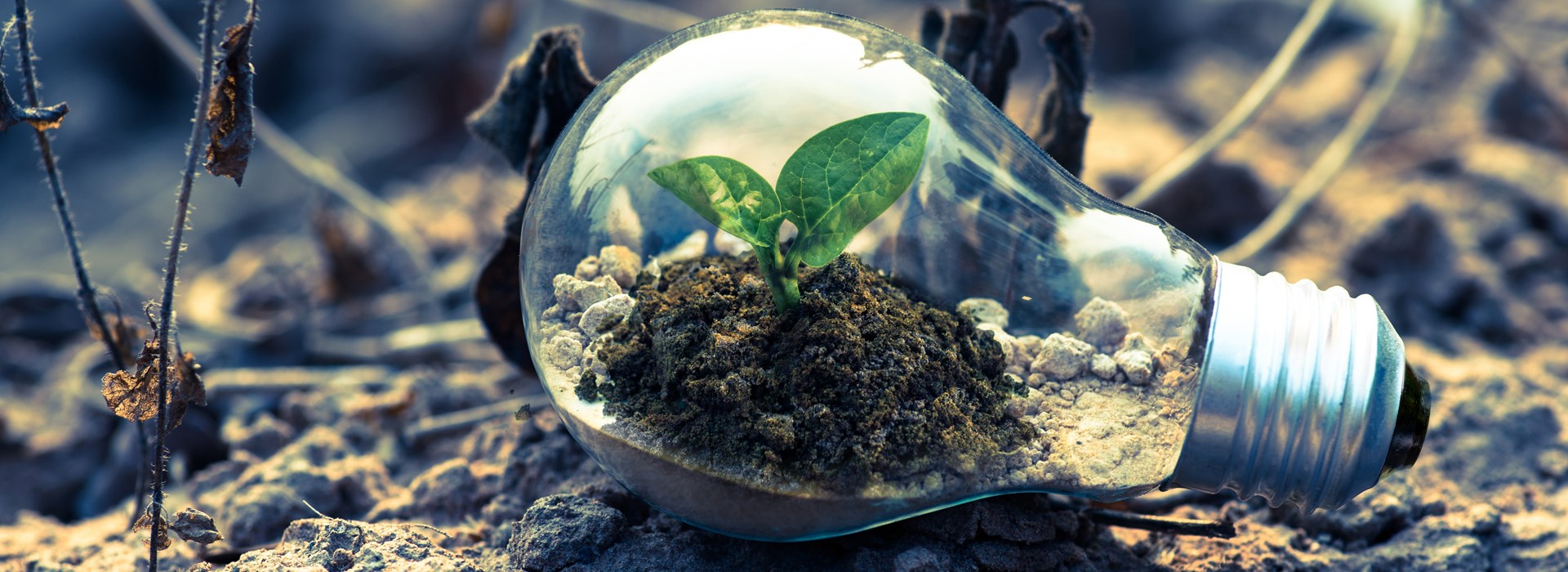 Example blog post alt