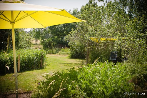 De tuin wordt grondig aanpakt